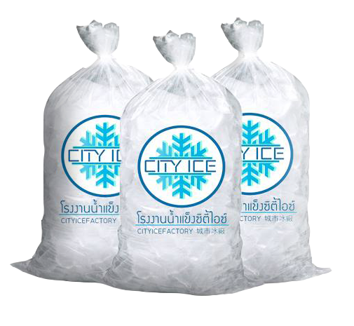 cityice icebag